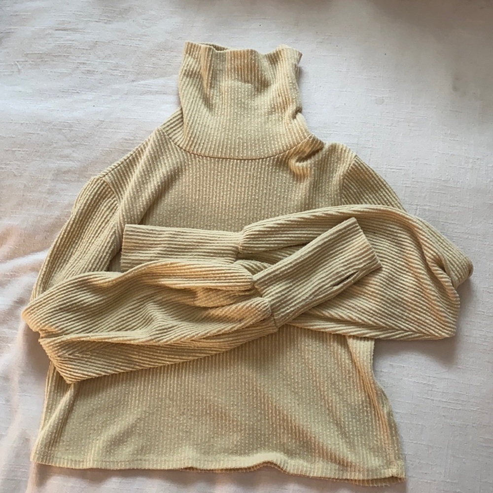 UO cropped turtle neck. Size small.